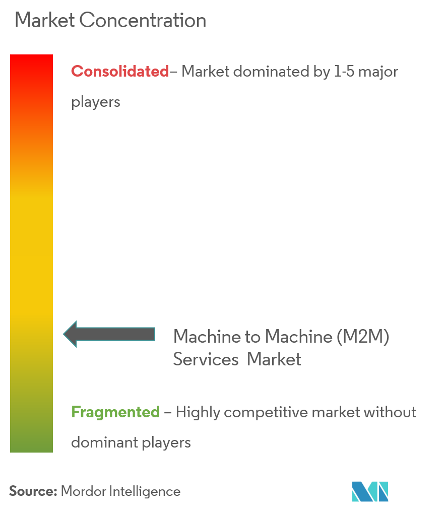 Machine To Machine (M2M) Services Market Concentration