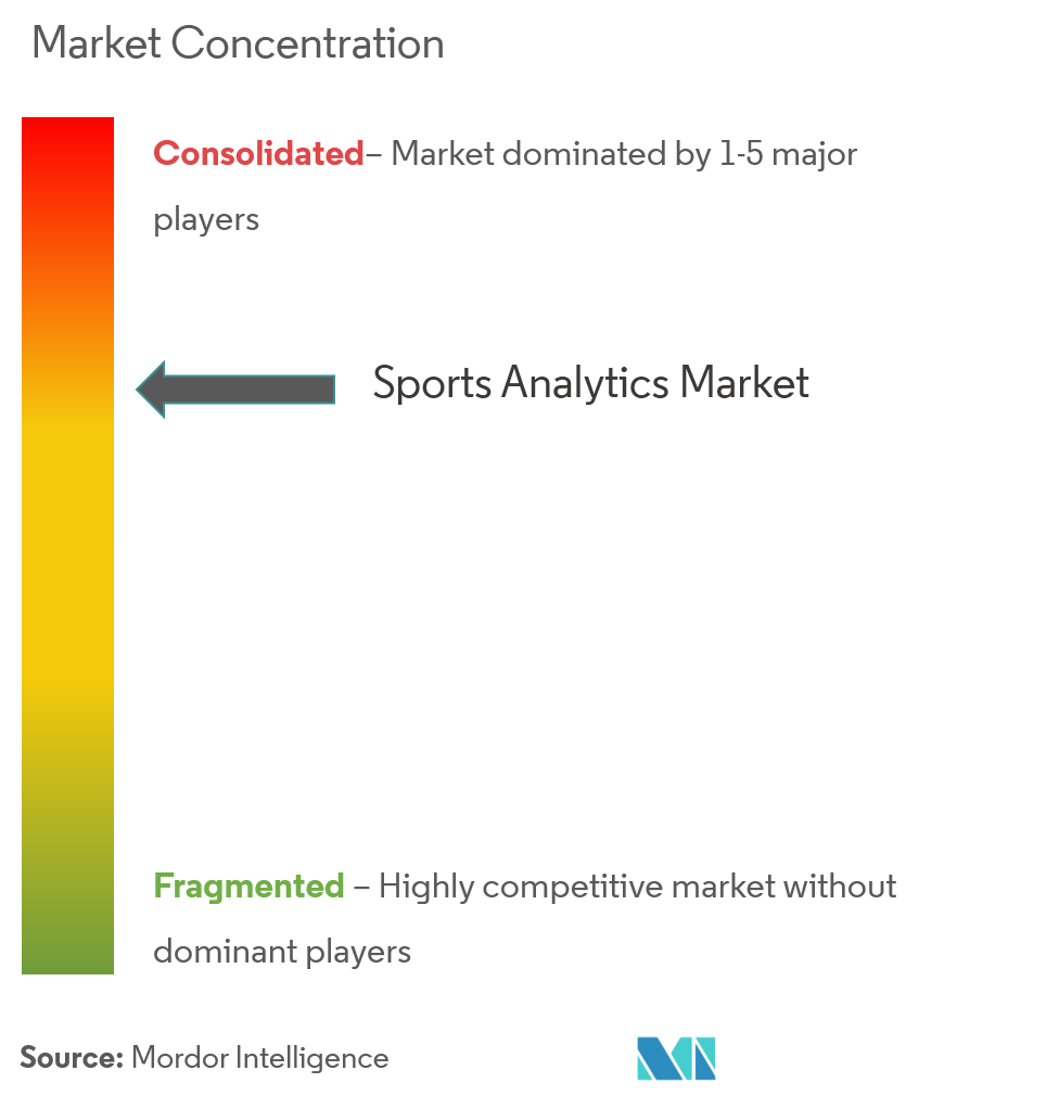 スポーツアナリティクス市場の集中