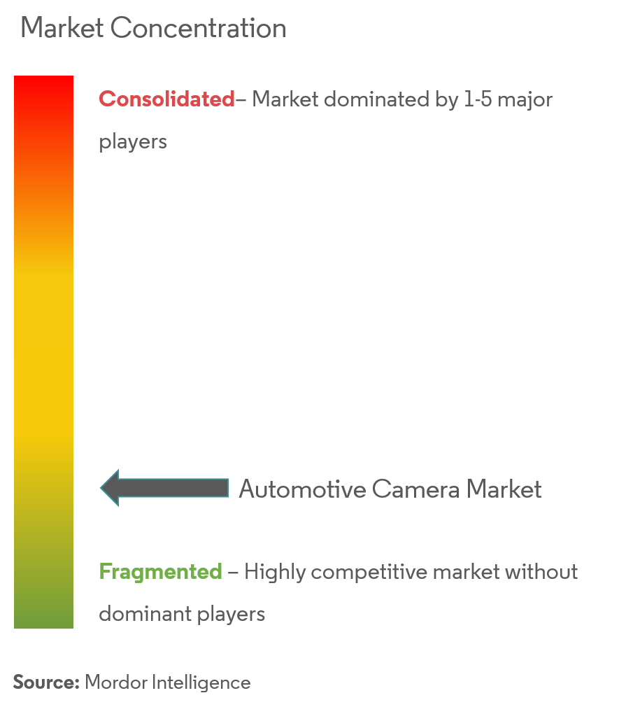 Automotive Camera Market Concentration