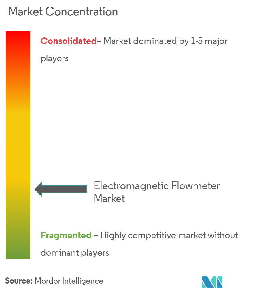Electromagnetic Flowmeter Market Concentration