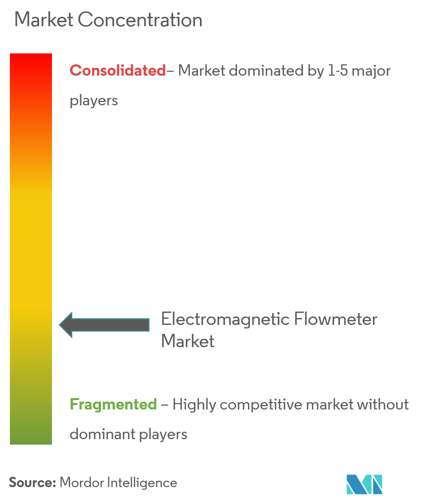 Concentración del mercado de caudalímetros electromagnéticos