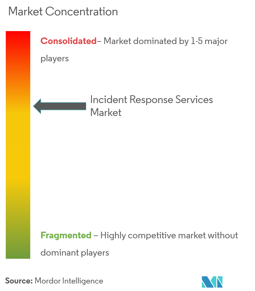 Incident Response Services Market Concentration