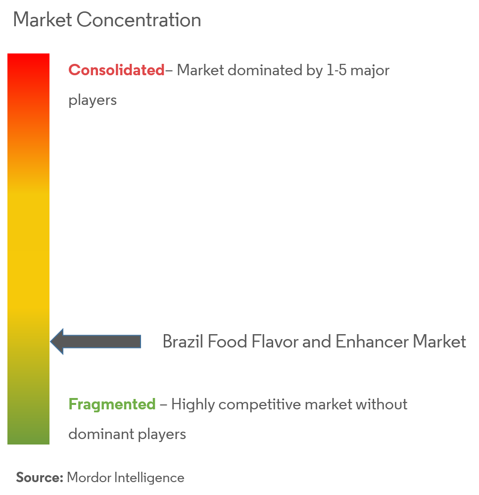 Brazil Food Flavor And Enhancer Market Concentration