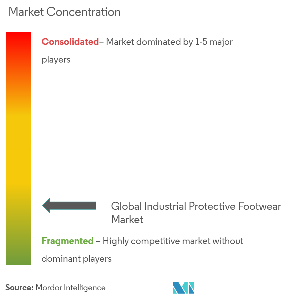 Industrial Protective Footwear Market Concentration