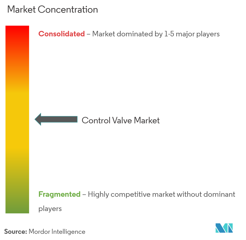 Control Valve Market Concentration