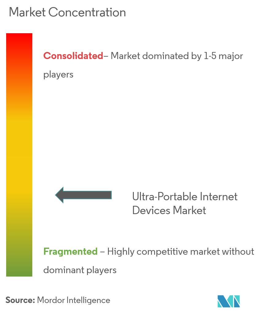 Ultra-Portable Internet Devices Market Concentration