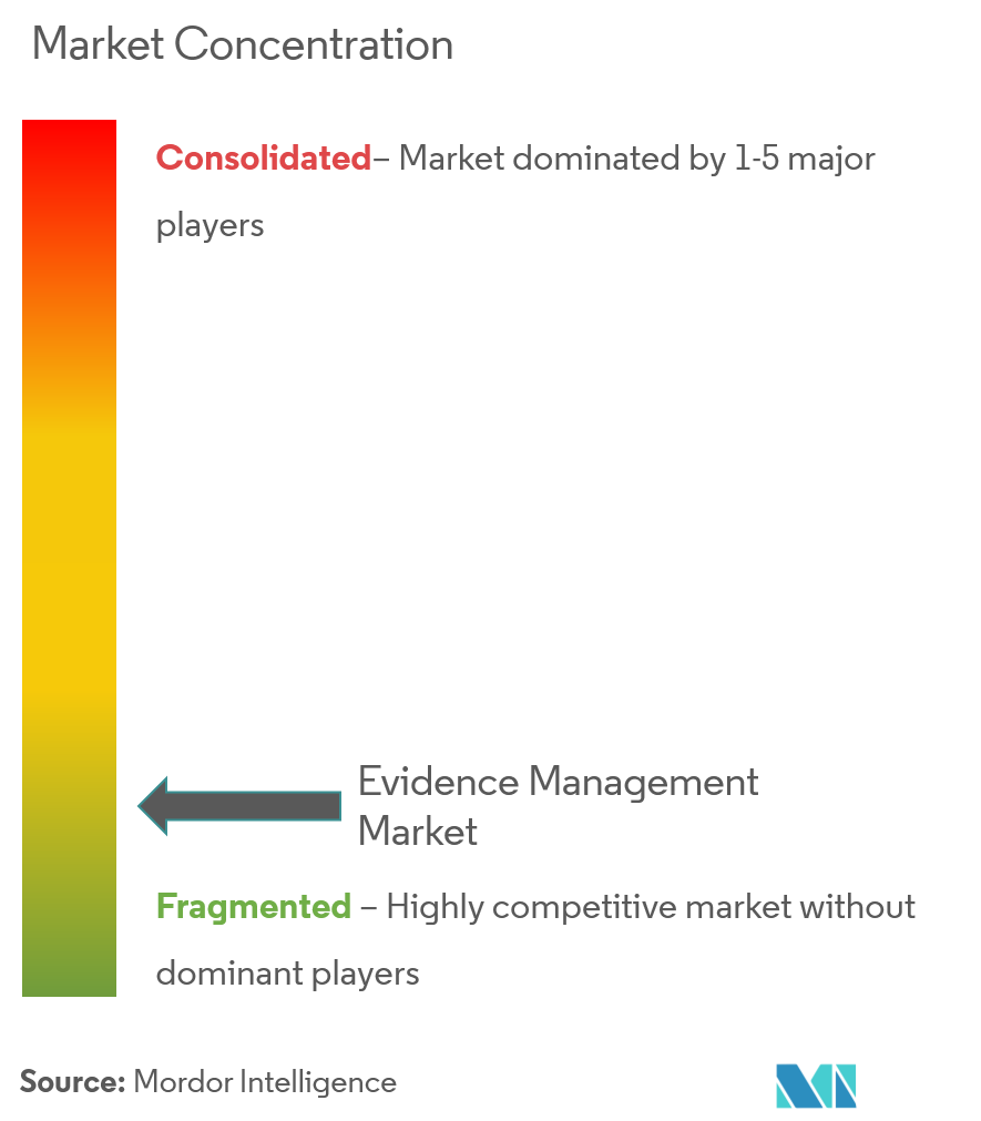 Hitachi Vantara, Panasonic Corporation, Oracle Corporation, IBM, Motorola