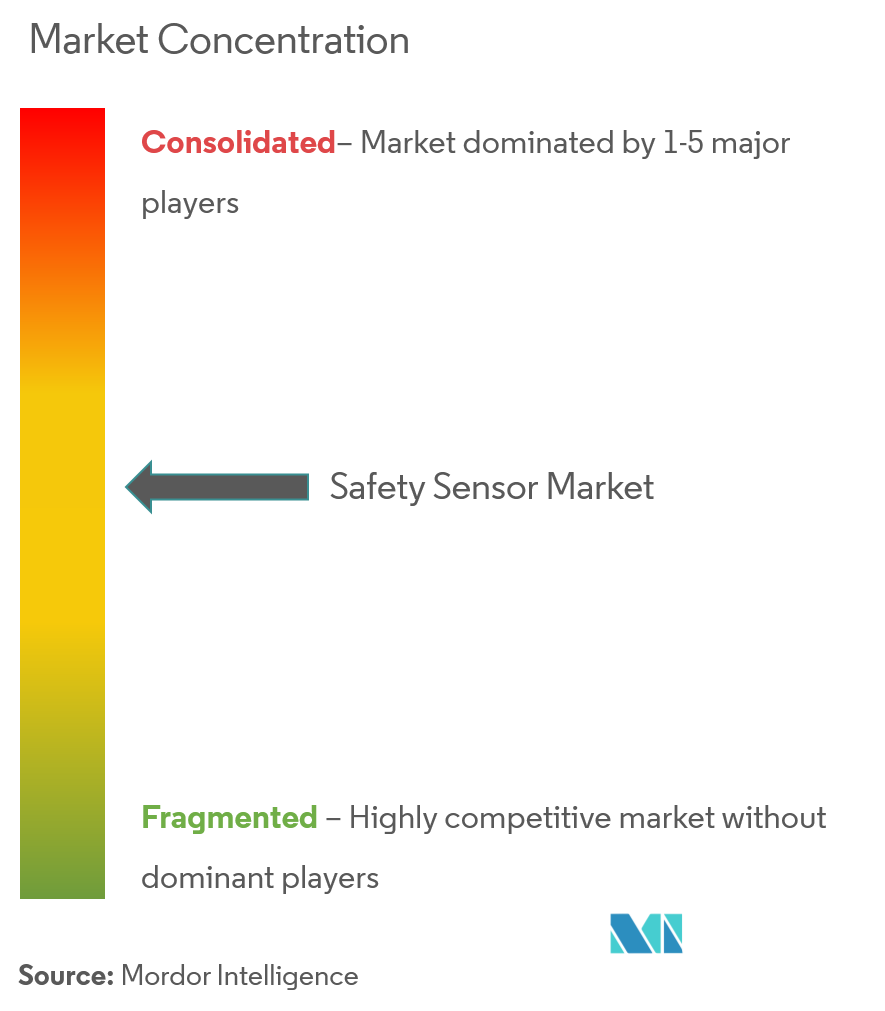 Omron Corporation,  Rockwell Automation, Keyence Corporation, Banner Engineering Corporation, ABB Limited, Siemens AG,  Panasonic Electric Works Co., Ltd., SICK AG