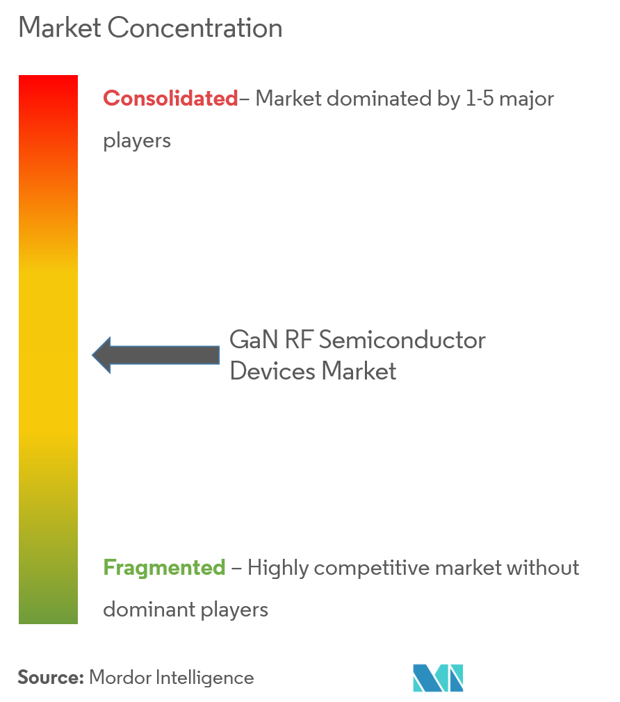 GaN Systems, Qorvo Inc., Wolfspeed, Inc. (Công ty CREE), Texas Instruments, Broadcom Inc.