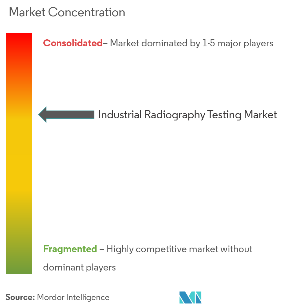 Industrial Radiography Testing Market Concentration