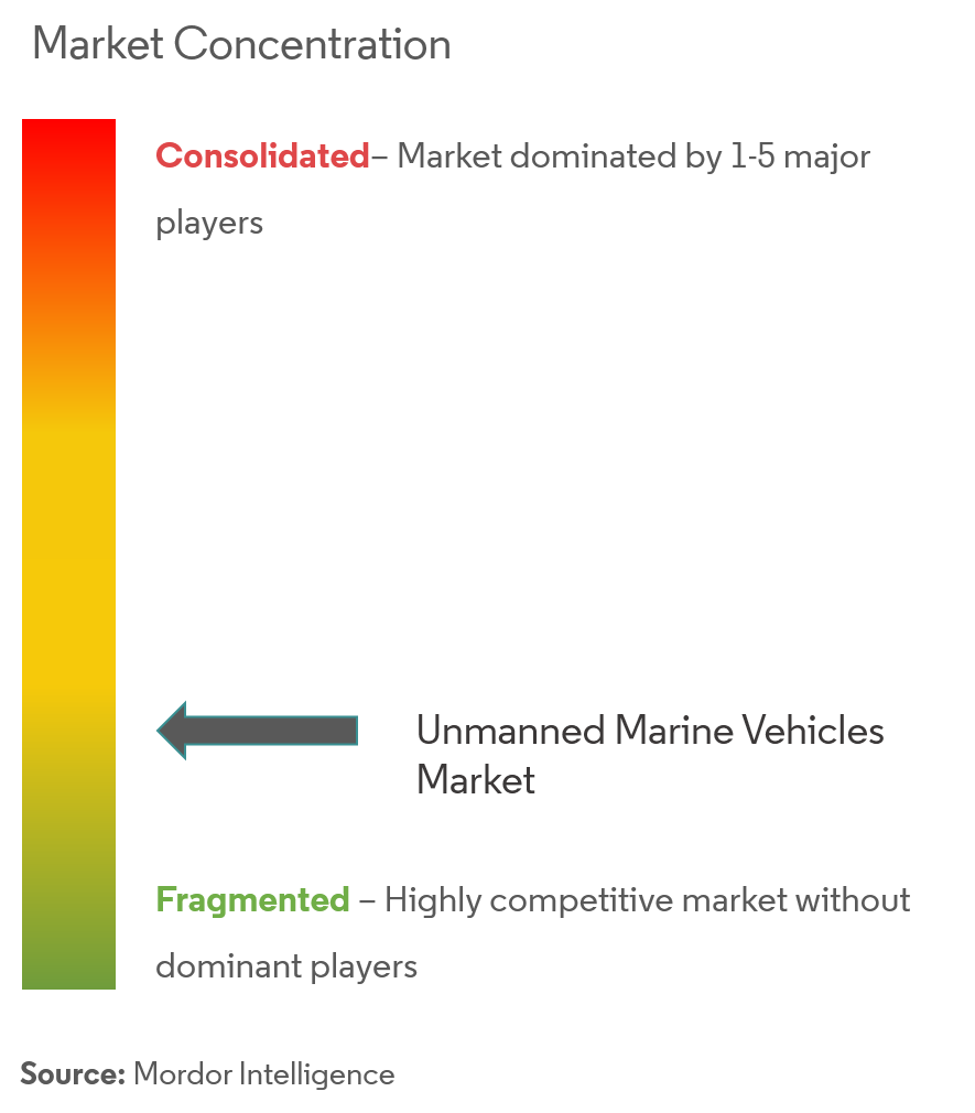 Unmanned Marine Vehicles Market Concentration