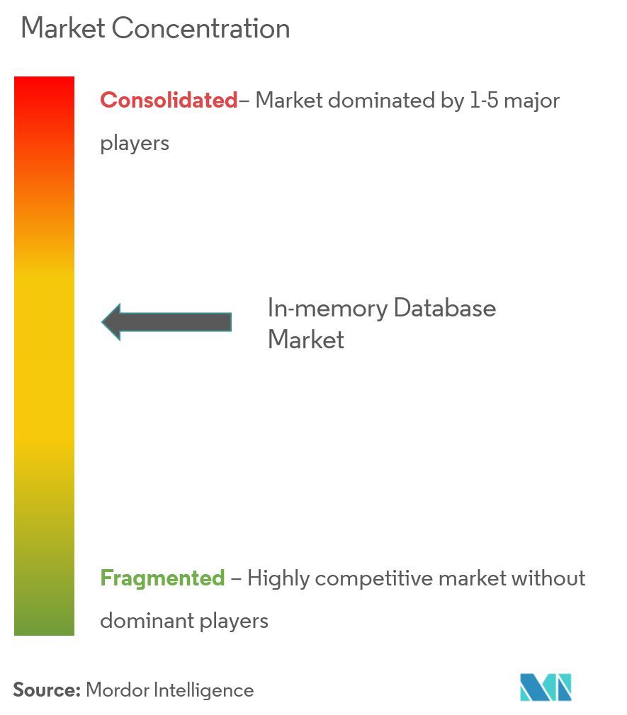 인메모리 데이터베이스 시장 집중도