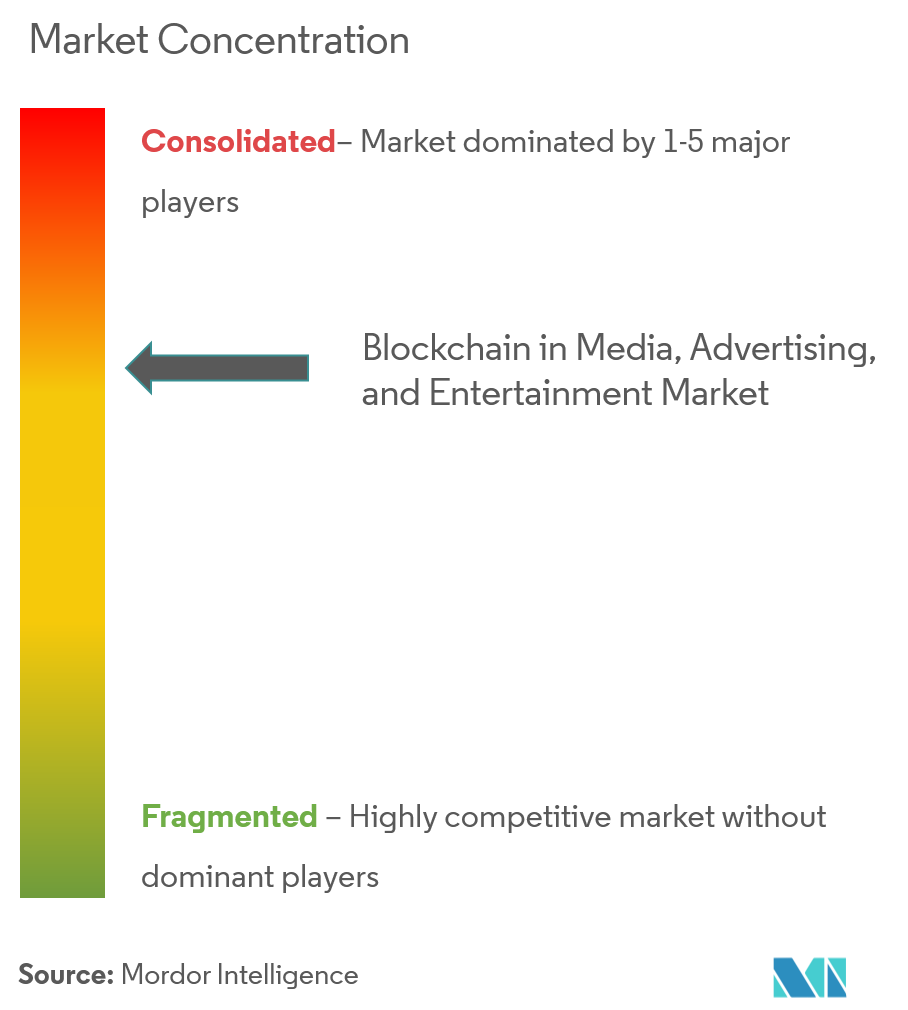 Blockchain in Media, Advertising, and Entertainment Market Concentration