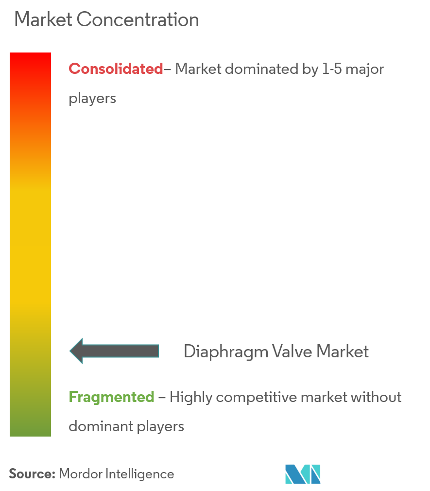 Diaphragm Valve Market Concentration diaphragm valve market