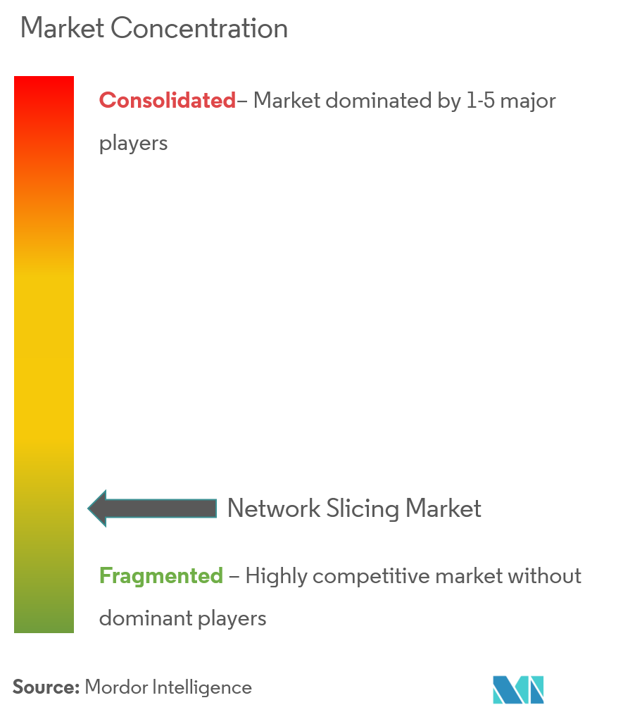 Network Slicing Market Concentration