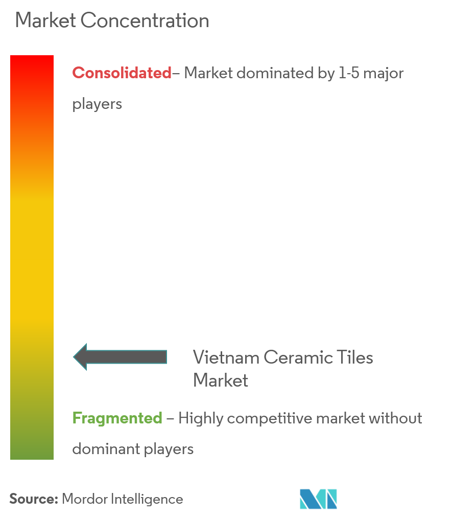 Vietnam Ceramic Tiles Market Concentration