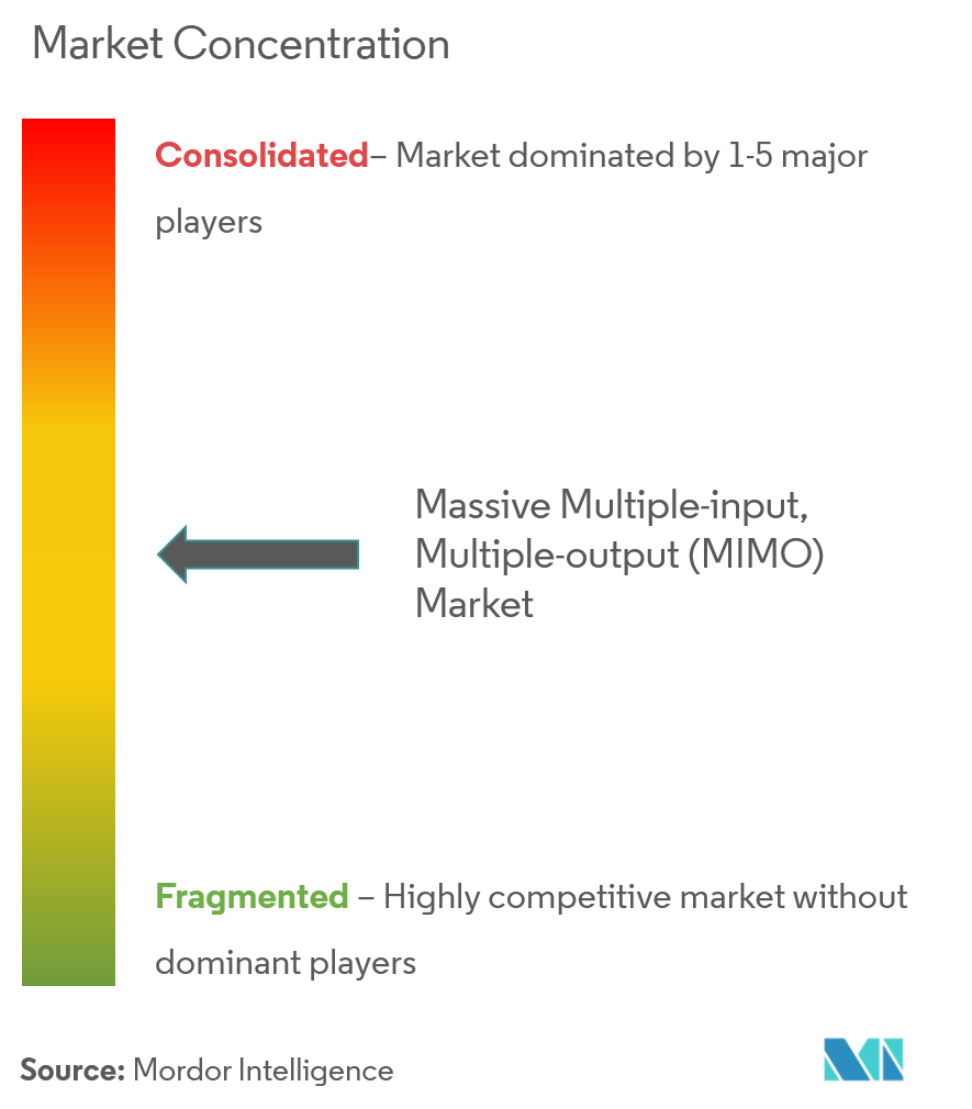 Massive Multiple-input Multiple-output (MIMO) Market Concentration