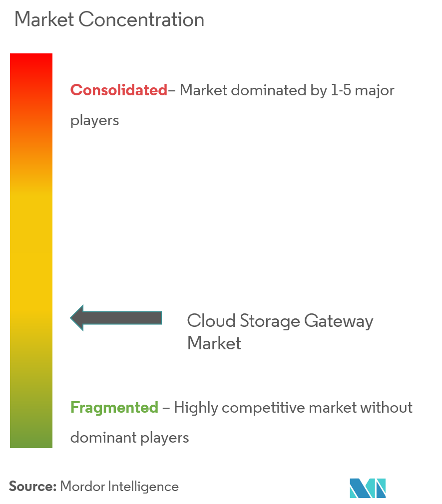 クラウド・ストレージ・ゲートウェイ市場の集中
