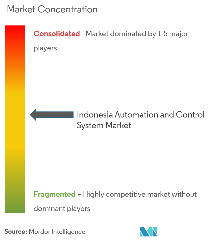 Indonesia Automation and Control System Market Concentration