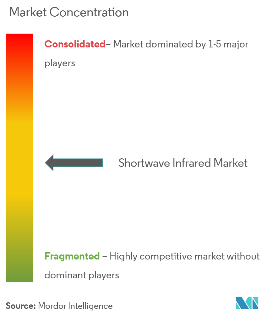 Flir Systems Inc., Hamamatsu Photonics KK, Sensors Unlimited, Teledyne Princeton Instruments, Xenics, Leonardo DRS, Sofradir, Allied Vision Technologies GmbH