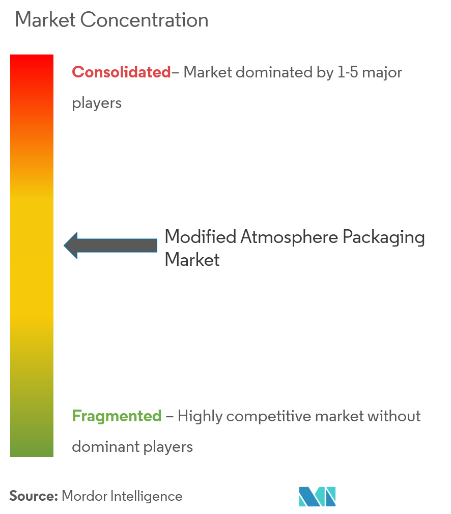 Modified Atmosphere Packaging Market Concentration