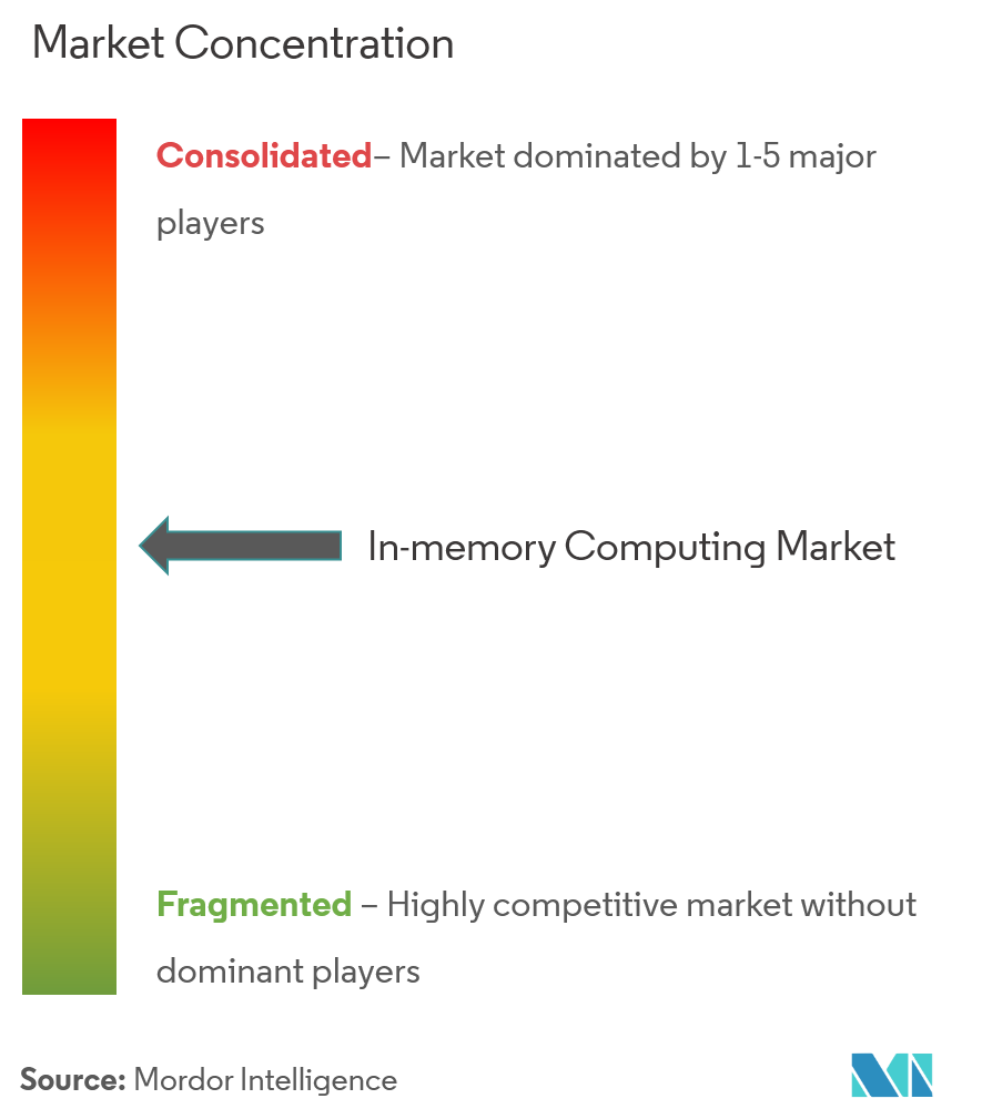 In Memory Computing Market Concentration