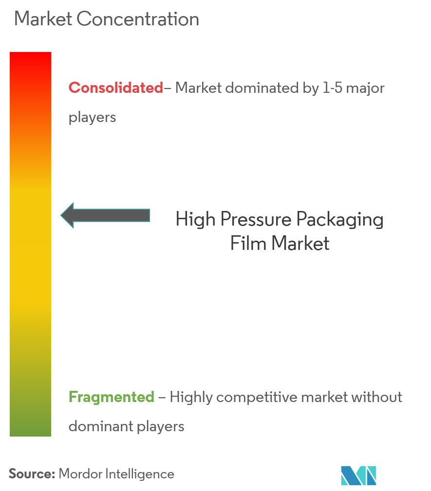 Sealed Air Corporation, Barton Jones Packaging Ltd, Pregis LLC, Supreme Industries Limited, Rajapack Limited (Raja S.A.)