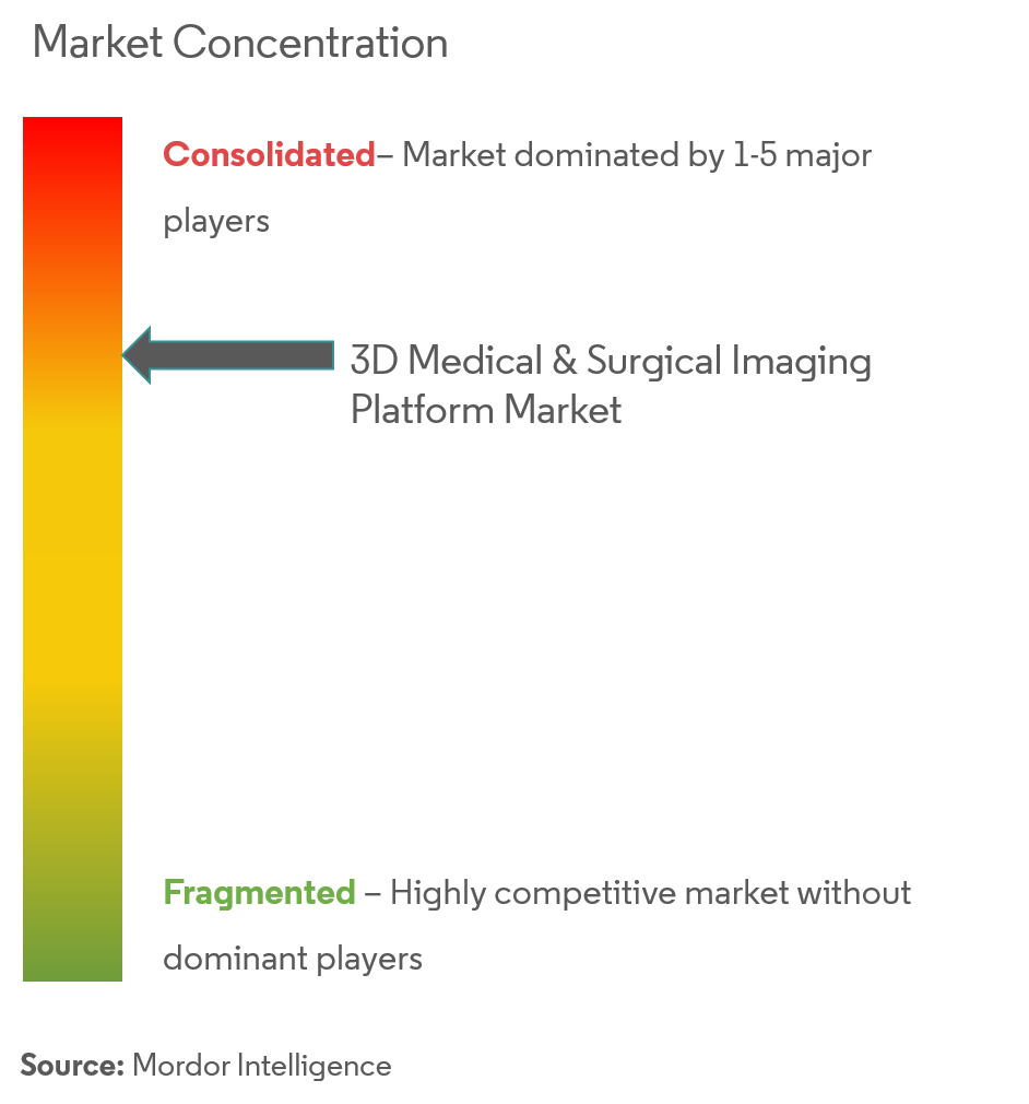 Ambra Health Inc., Arterys Inc., Brainlab AG, Depuy Synthes Inc., Medtronic Inc.