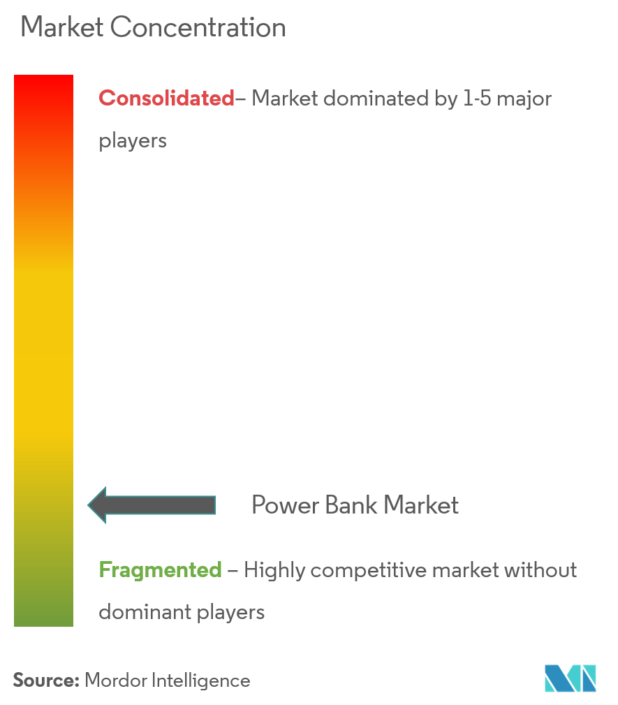 Power Bank Market Concentration