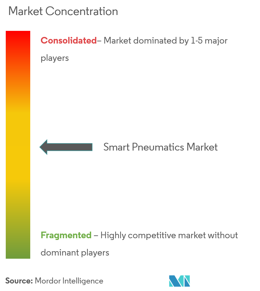 Smart Pneumatics Market Concentration