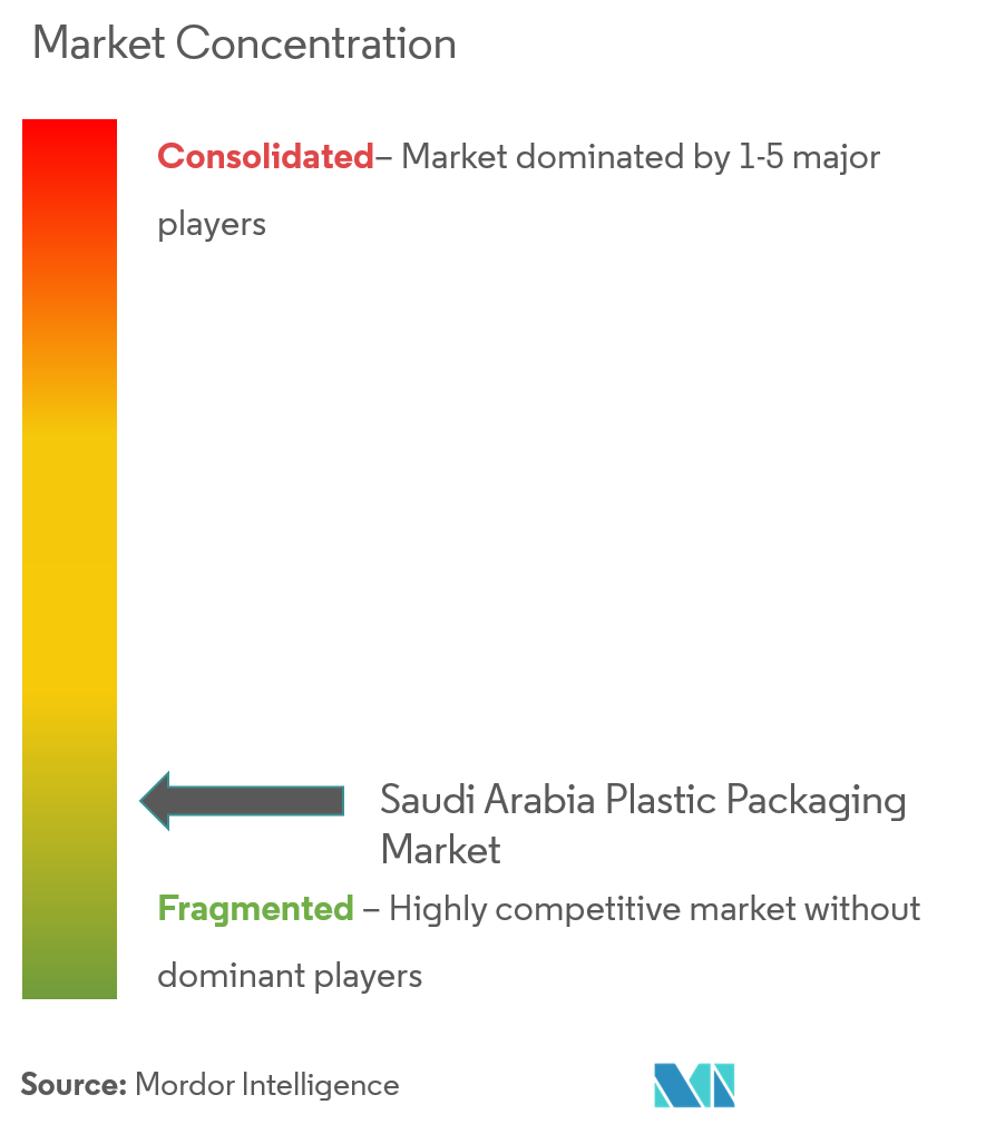 Saudi Arabia Plastic Packaging Market Concentration