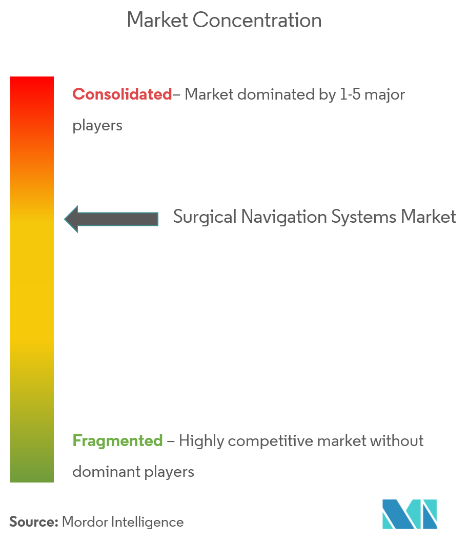 Surgical Navigation Systems Market Concentration