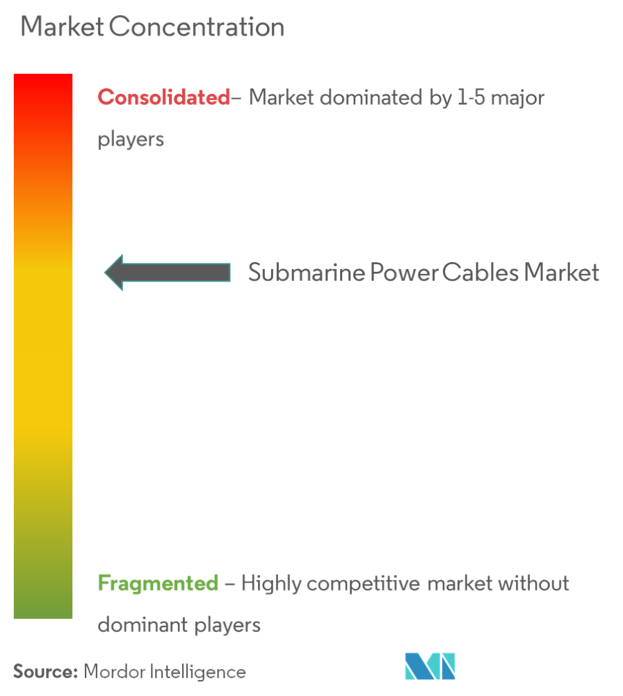 해저 전력 케이블 시장 집중도