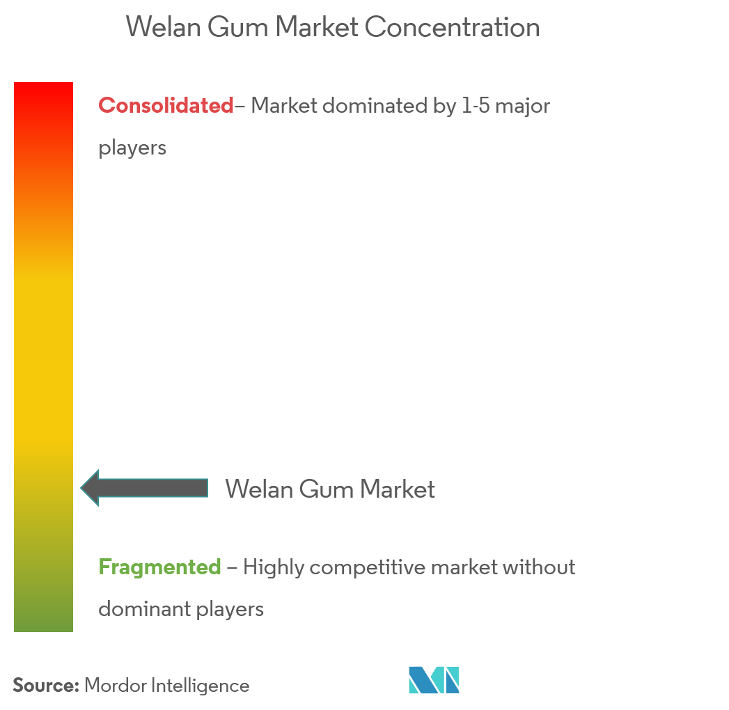 welan gum market - market concentration