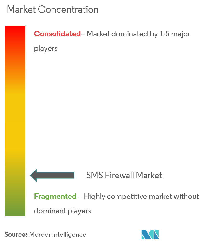 SMS Firewall Market Concentration