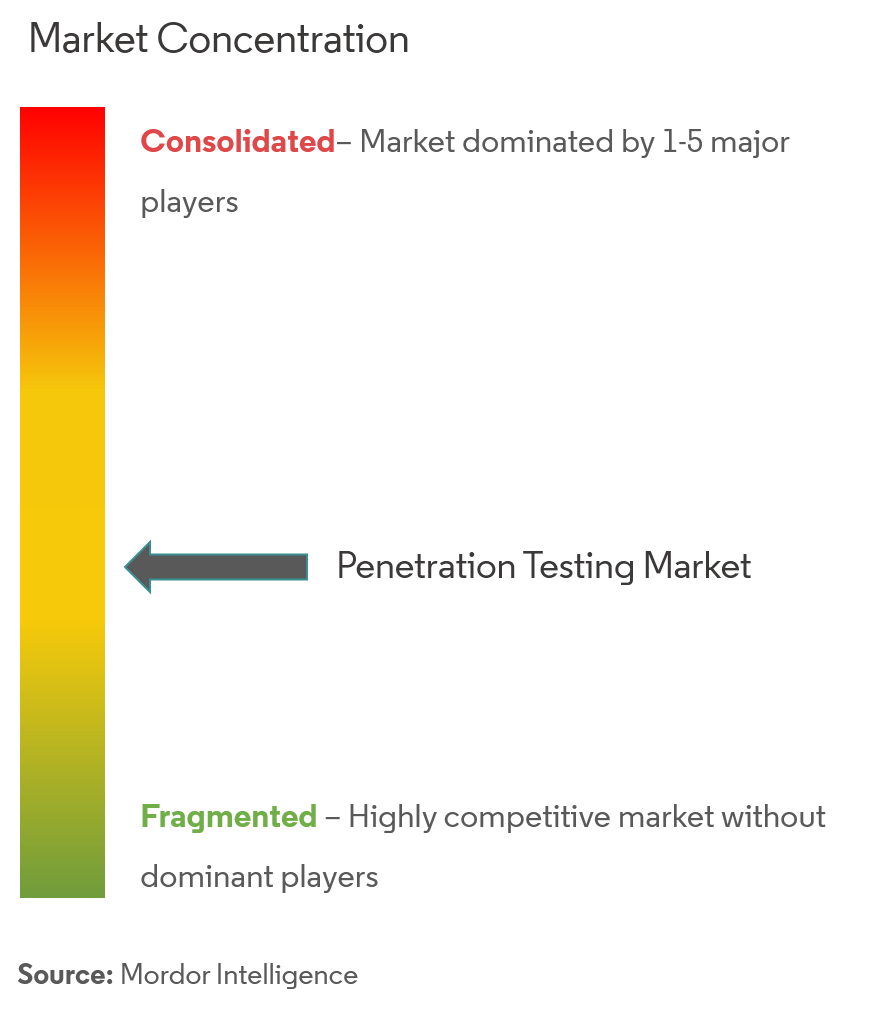 Penetration Testing Market Concentration