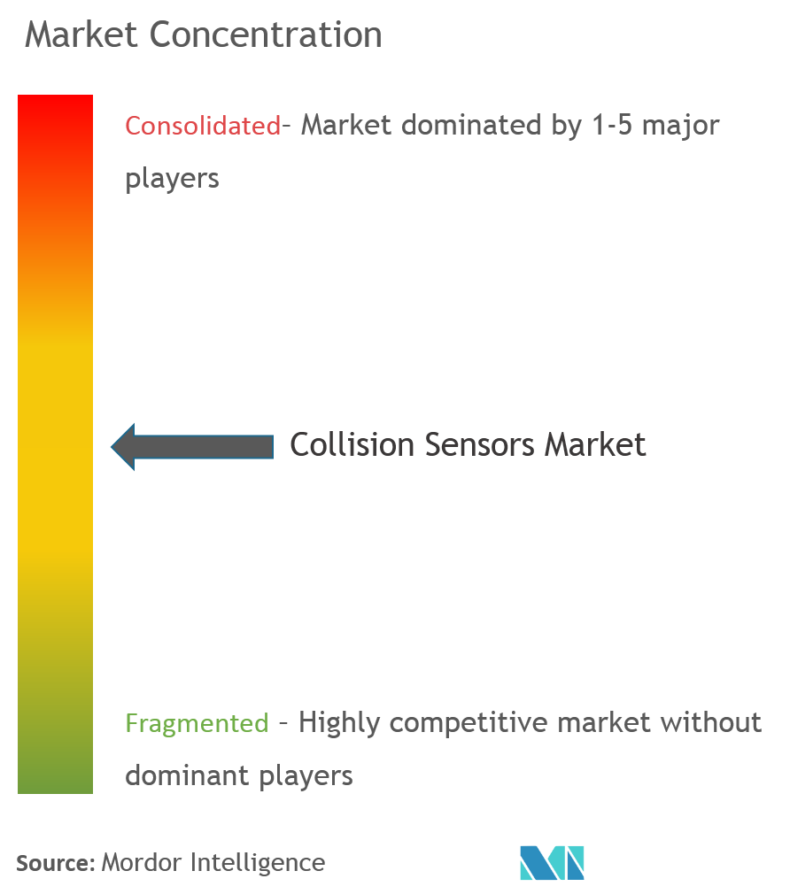 Continental AG, NXP Semiconductors NV, Delphi Automotive LLP, Infineon Technologies AG, Murata Manufacturing Co., Ltd.