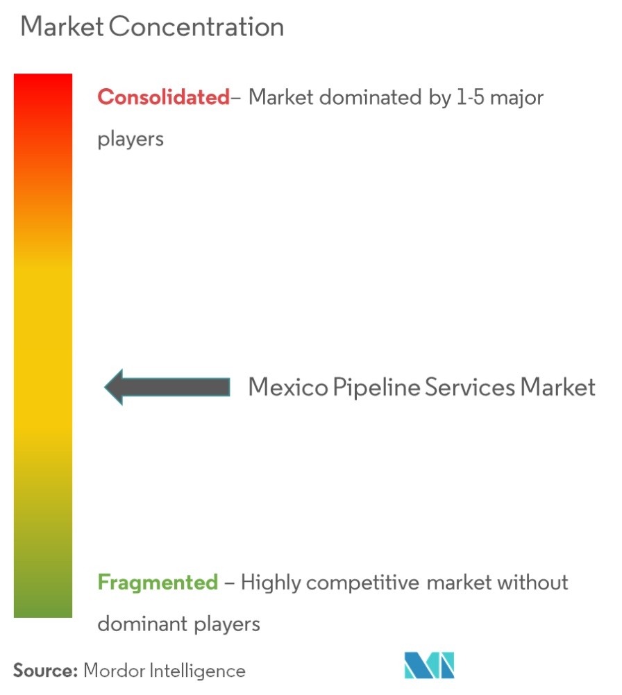 멕시코 파이프라인 서비스 시장 집중도