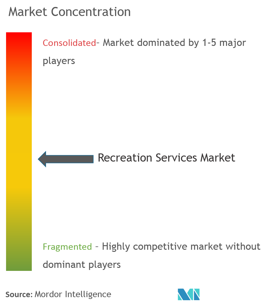 Concentração do mercado de serviços recreativos