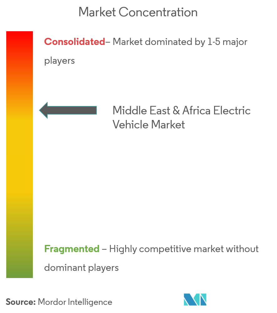 Middle East & Africa Electric Vehicle Market Analysis